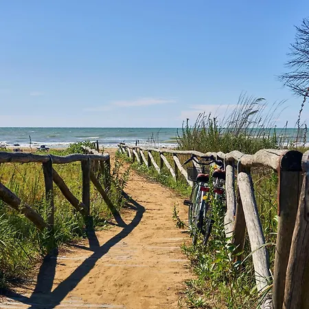 Great One Bedroom Close To The Sea Apartment