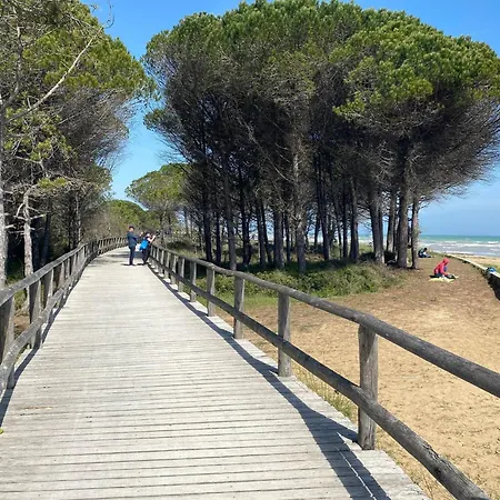 Great One Bedroom Close To The Sea Apartment