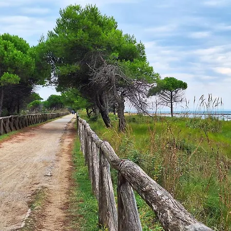 Great One Bedroom Close To The Sea Apartment